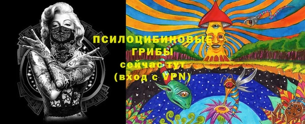 прущие крисы Медногорск