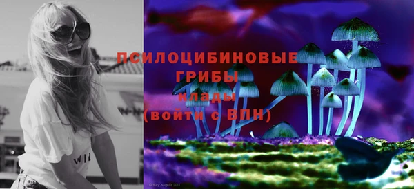соль курить ск Михайловск